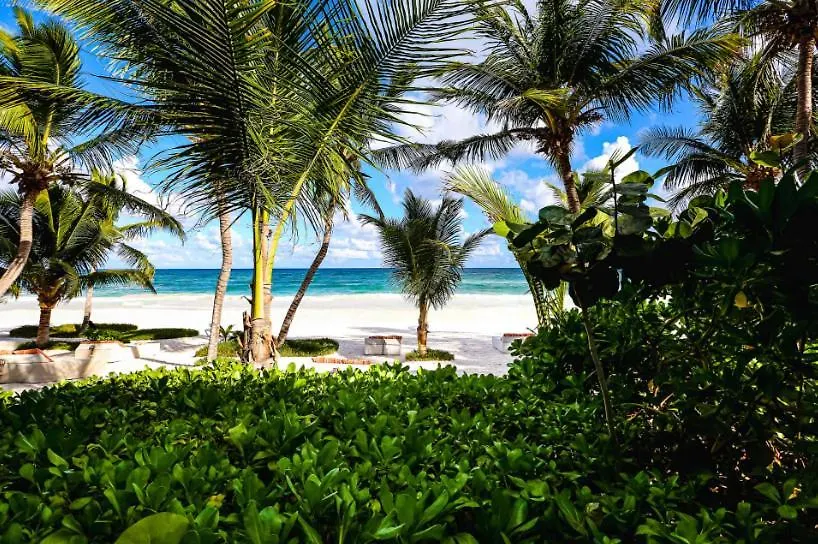 Beachfront Suites In Tulum Beach