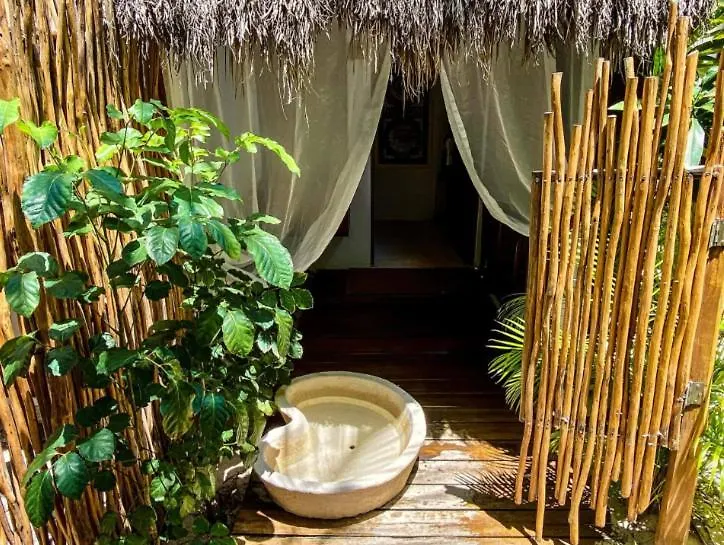 Beachfront Suites In Tulum Beach