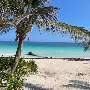 Hotel Casa Phoenix, Tulum